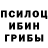 Галлюциногенные грибы мицелий Alex Lemm