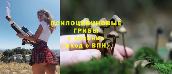 прущая мука Карталы