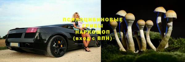 прущая мука Карталы